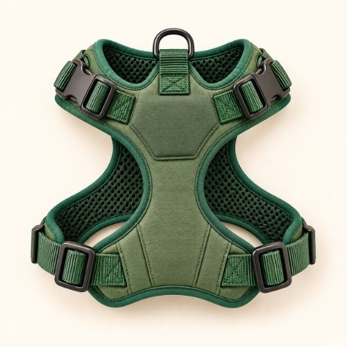 Harness
