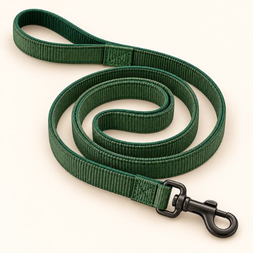 Leash