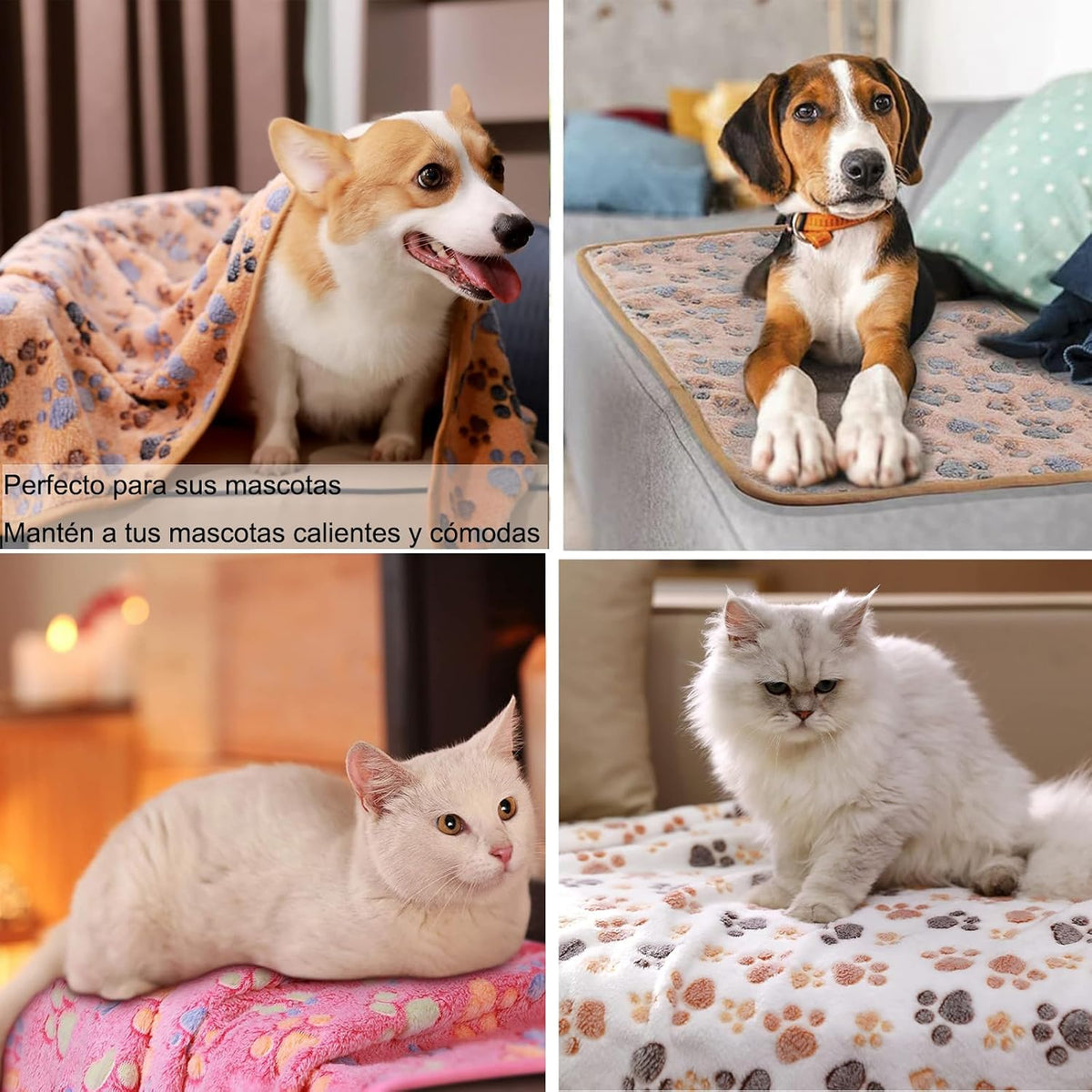 Plush Paw-Print Pet Blankets, 3-Pack